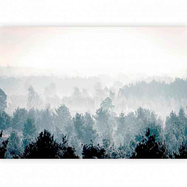 artgeist FOTOTAPETA velikost: 150/105 cm