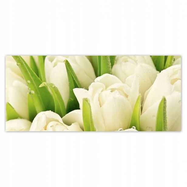 Fototapety 211x91 Jemné tulipány
