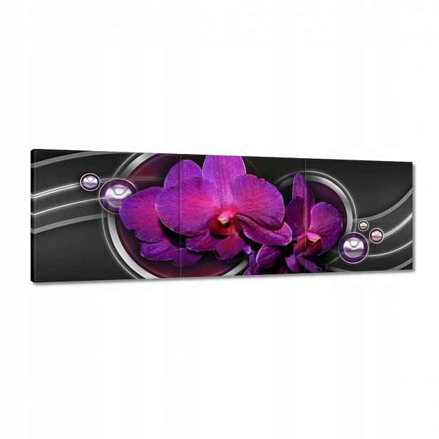Obrazy 120x40 Fialová orchidej