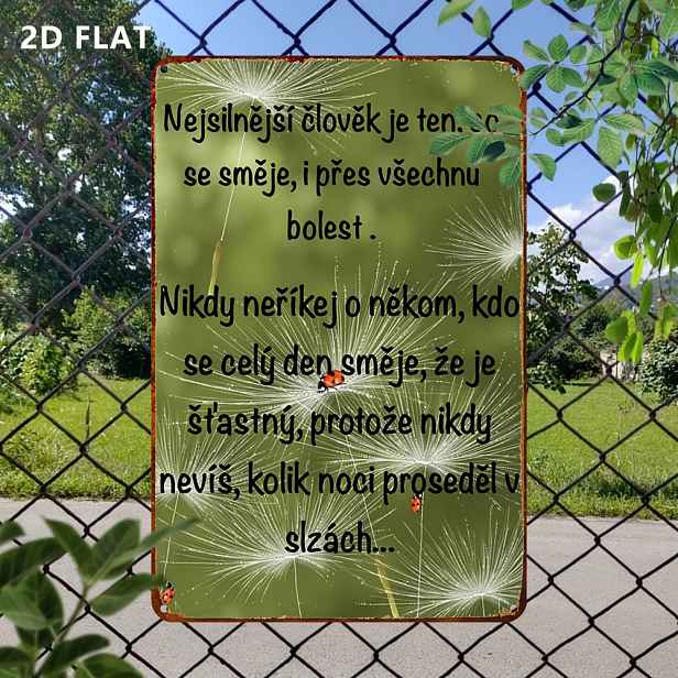 TEMU 2D Plochá, 1ks 2D Plochá Vintage Kovová Cedule, Obraz, Vintage Nástěnné Umění, Dekorace do Garáže, 12x8 Palců, Nástěnná Dekorace, pro Pánský