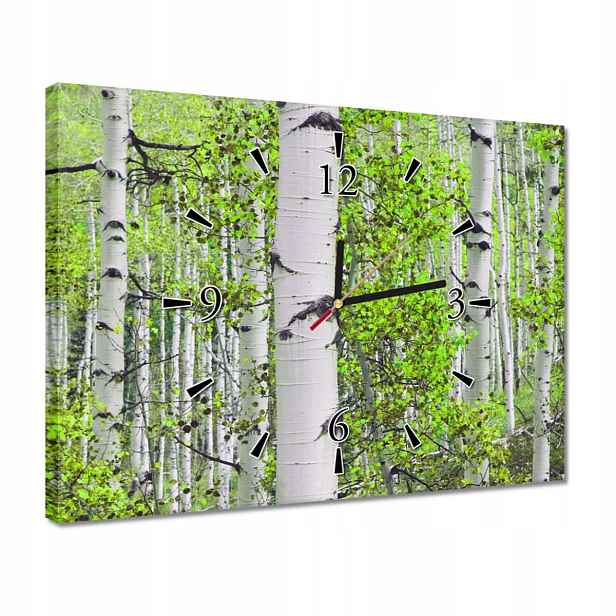 Hodiny 40x30 Jarní zeleň Brzóski