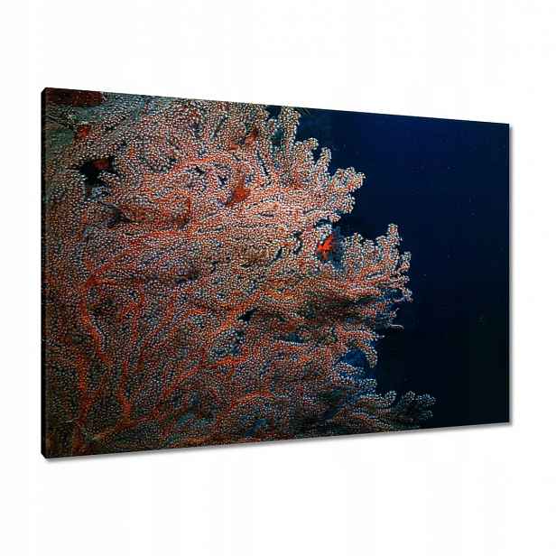 Obrazy 100x70 Modrý oceán s útesem