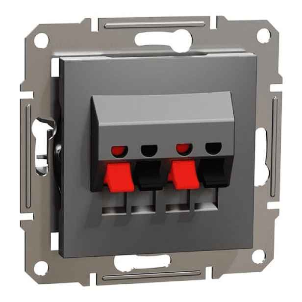 Schneider Electric Asfora zásuvka dvojitá reproduktorová, antracit EPH5700171