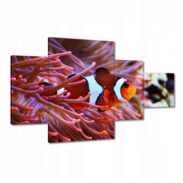 Obrazy 130x80 Oranžová rybka Rafa