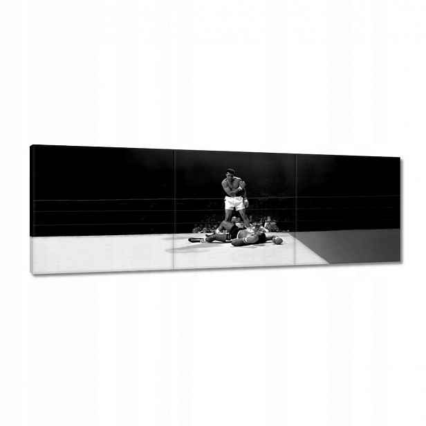 Obrazy 120x40 Muhammad Ali Boxer Boj