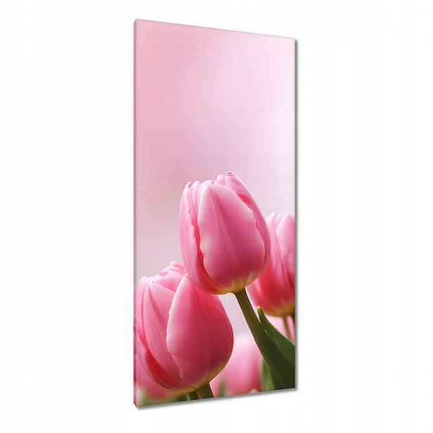 Obrazy 55x115 Růžové tulipány