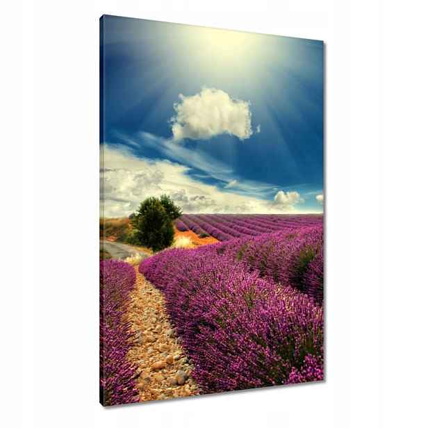 Obrazy 60x90 Levandulová krajina