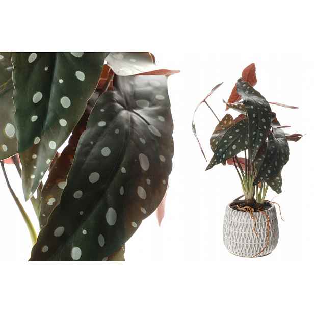 Umělý květ Begonia v květináči 42 cm CH06723766GR.PU