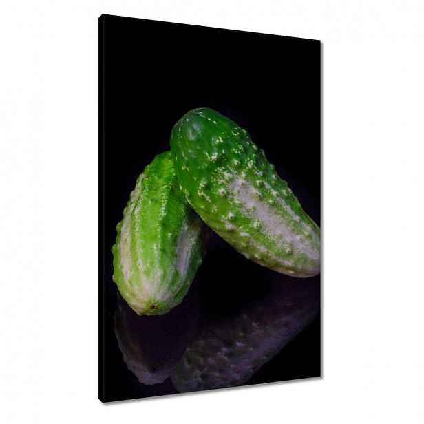 Obrazy 60x90 Zelené zemní okurky