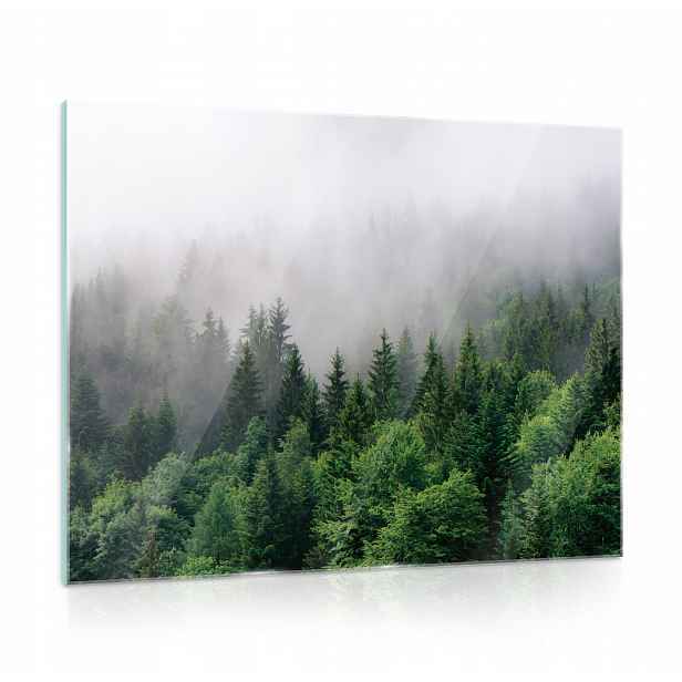 Skleněný obraz na skle Les v mlze Kuchyně 80x60