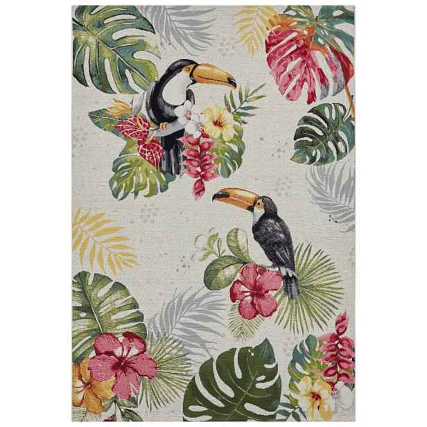 Hanse Home Kusový koberec Flair 105608 Tropical Dream 240x340 cm