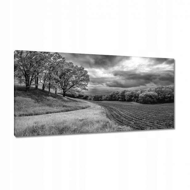 Obrazy 115x55 Černobílé pole