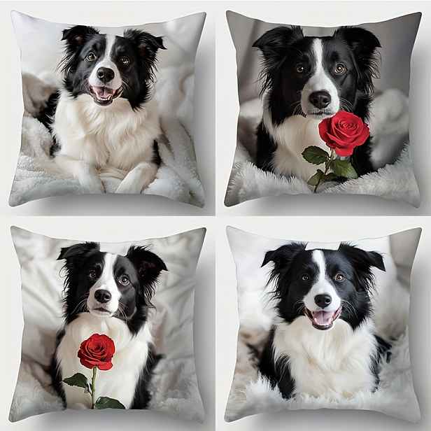TEMU 4ks sada, potištěný povlak na polštář, motiv Border Collie, Border Collie se usmívá drží červenou růži. Dodají domácímu prostředí teplou a živou