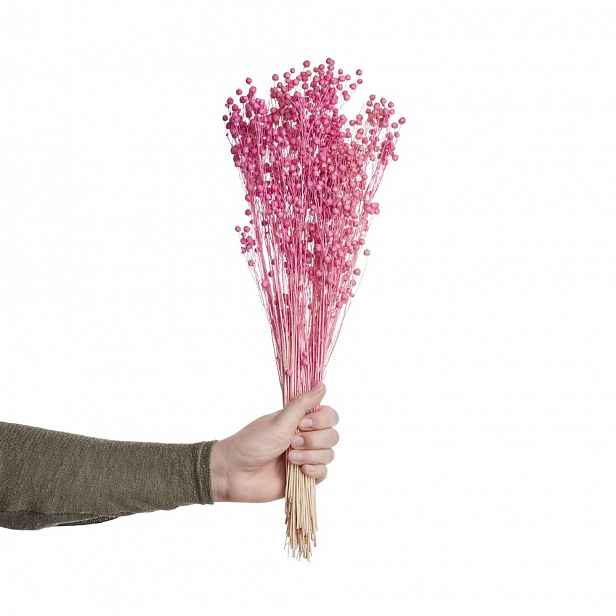 Butlers FLOWER MARKET Len sušený 50 cm - růžová