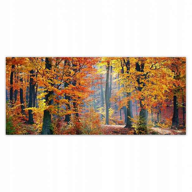 Fototapety 211x91 Zlatý podzim