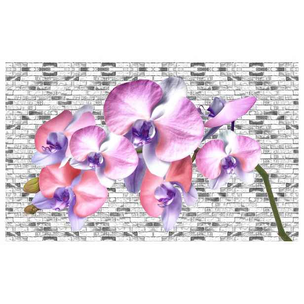 Fototapeta Flizelina Orchideje na cihlové zdi růžový loft 416x254 lepidlo