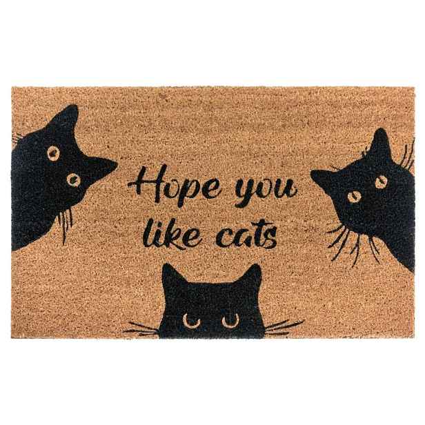 Hanse Home Rohožka Mix Mats 105667 Cocos 45x75 cm