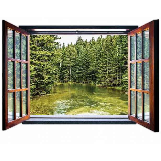 Fototapeta Pohled z okna Les 201x145