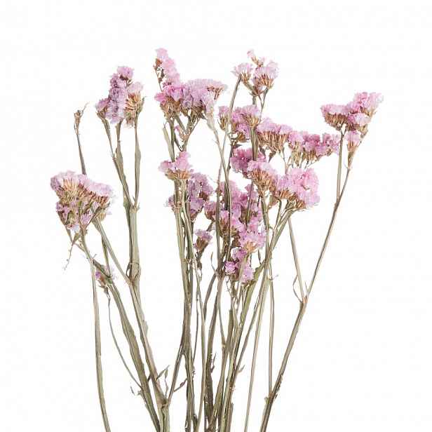 Butlers FLOWER MARKET Statice sušená 60 cm - fialová