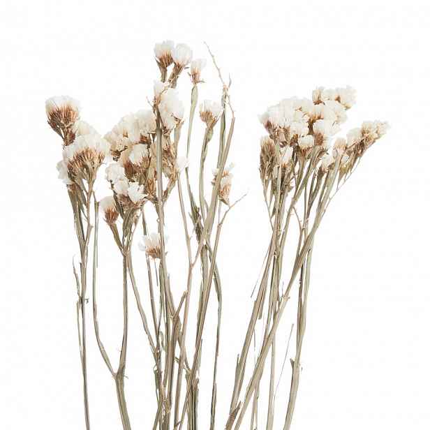 Butlers FLOWER MARKET Statice sušená 60 cm - bílá