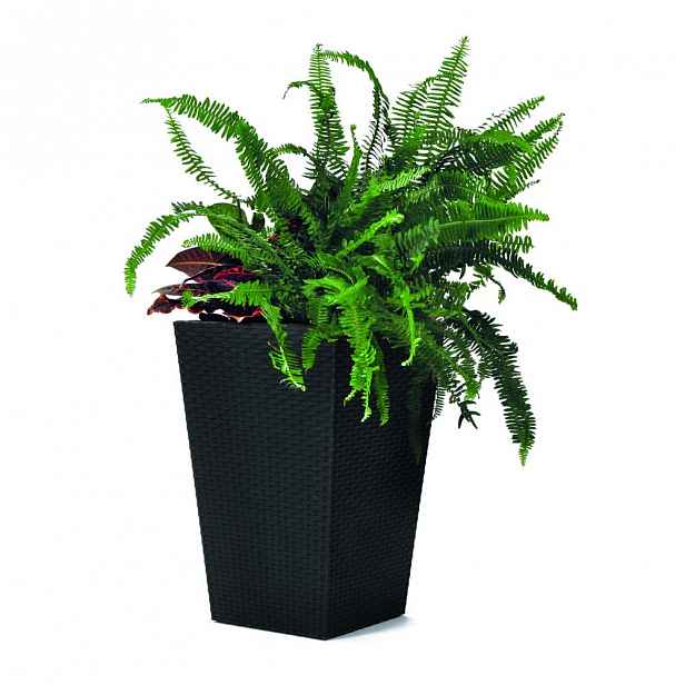 Šedý zahradní květináč Keter Kind, výška 44 cm
