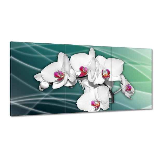 Obrazy 180x90 Orchideje květiny na zeleném pozadí
