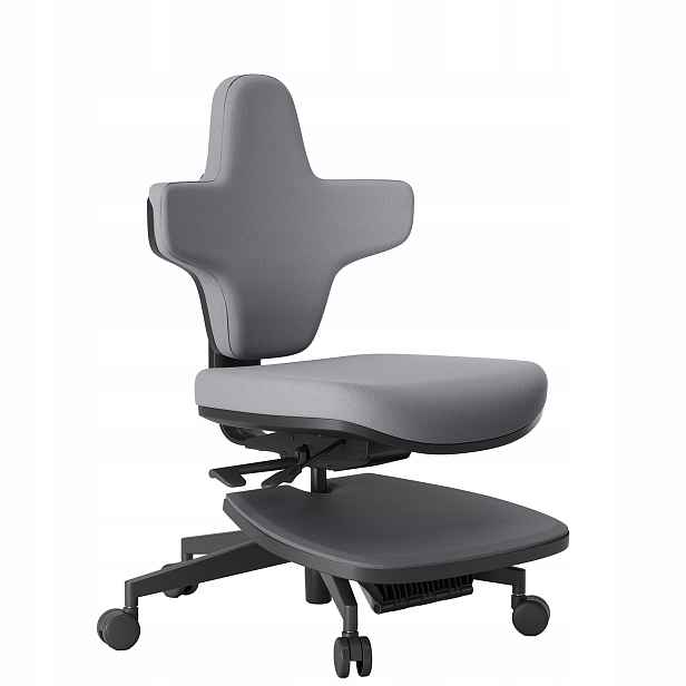 Ergonomické kancelářské křeslo s rozkládací podložkou na stání, Nastavitelné, šedá barva