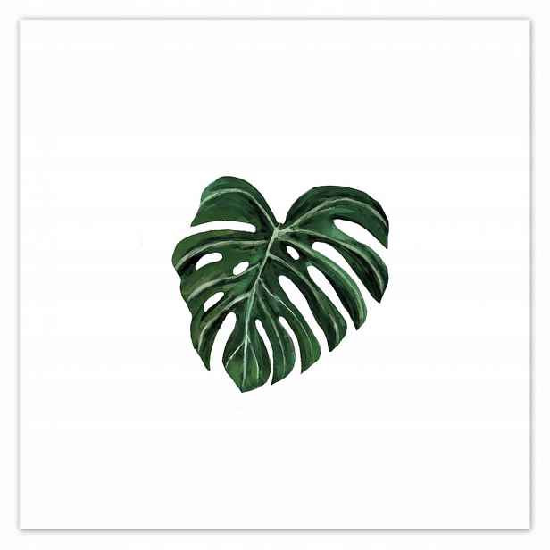 Plakáty 140x140 Monstera deliciosa List