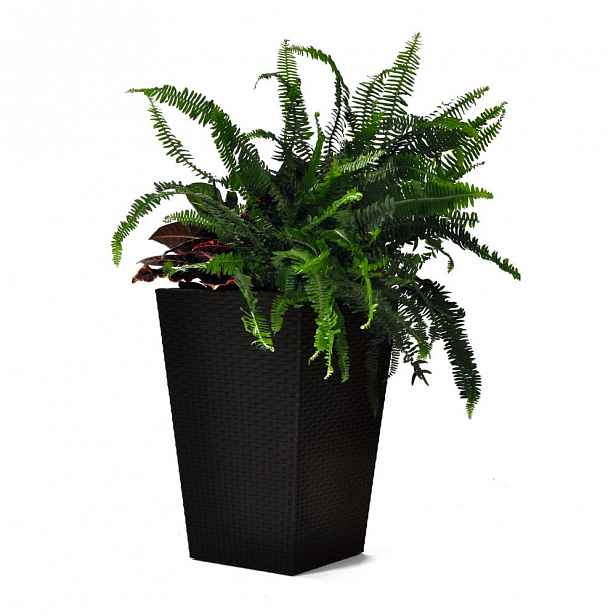 Hnědý zahradní květináč Keter Kind, výška 57 cm