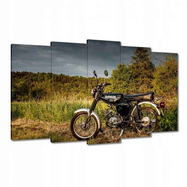 Obrazy 100x60 Černý Simson čtyřka 4