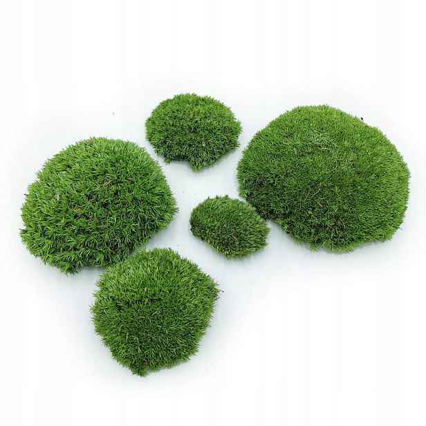 Ball Moss kopečkový mech středně zelená 100g Fr