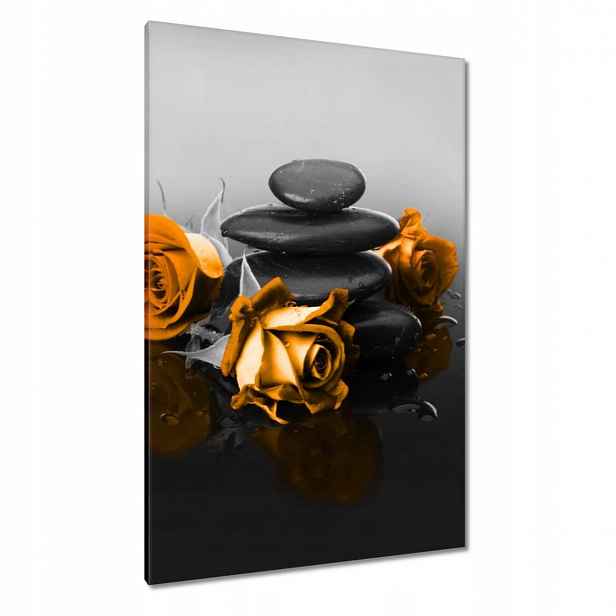 Obrazy 80x120 Oranžová růže Spa