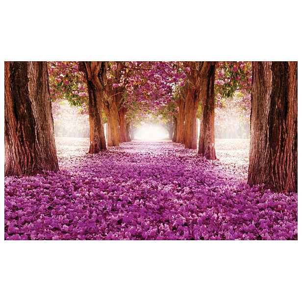 Fototapeta Růžová Báječná Kvetoucí Avenue jarní les 200x140 lepidlo