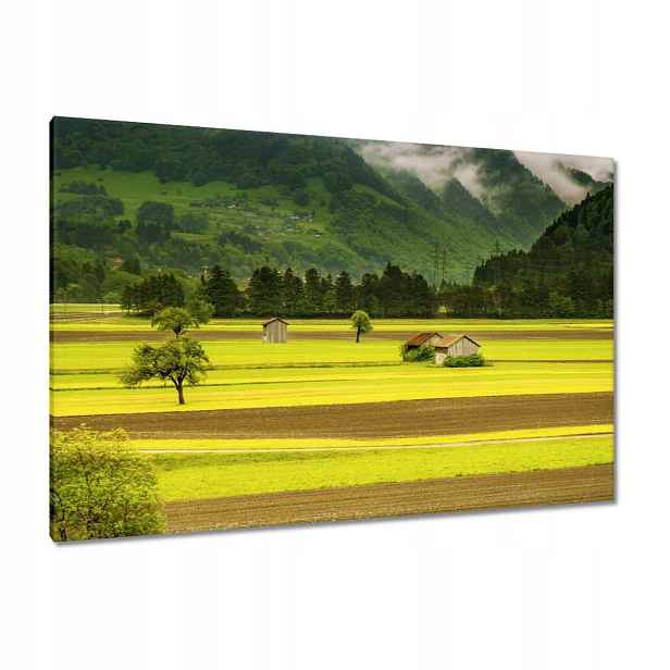 Obrazy 120x80 Zelené lány