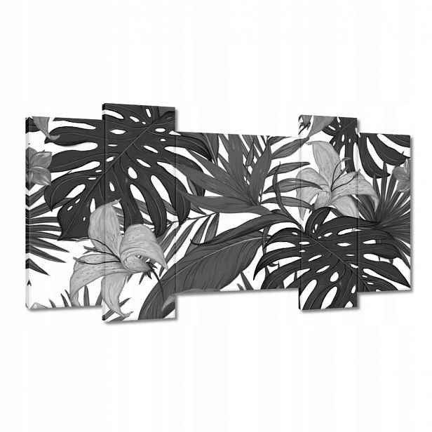 Obrazy 120x65 Černobílá monstera