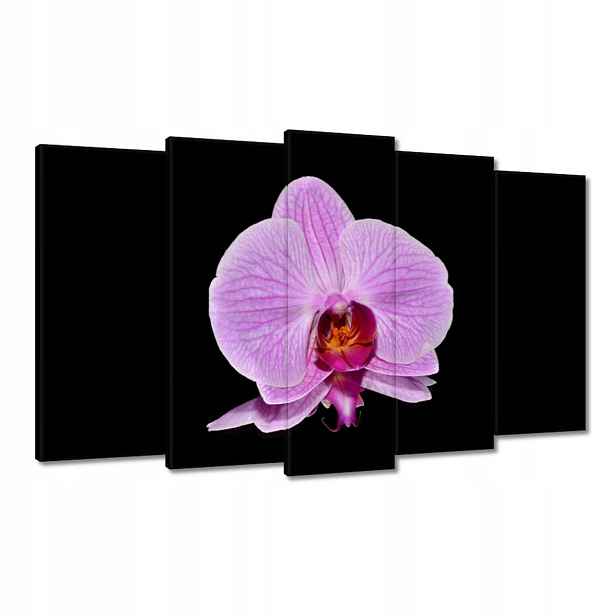 Obrazy 100x60 Fialový orchidej