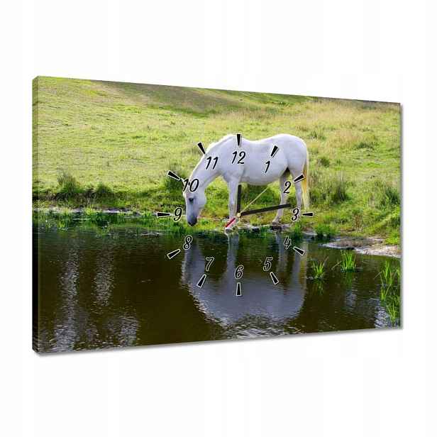 Hodiny 60x40 Bílý kůň