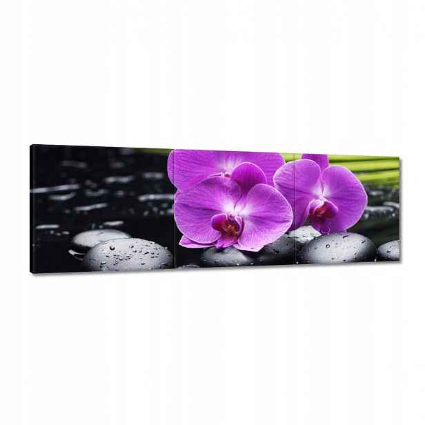 Obrazy 120x40 Orchidej na Valentýna