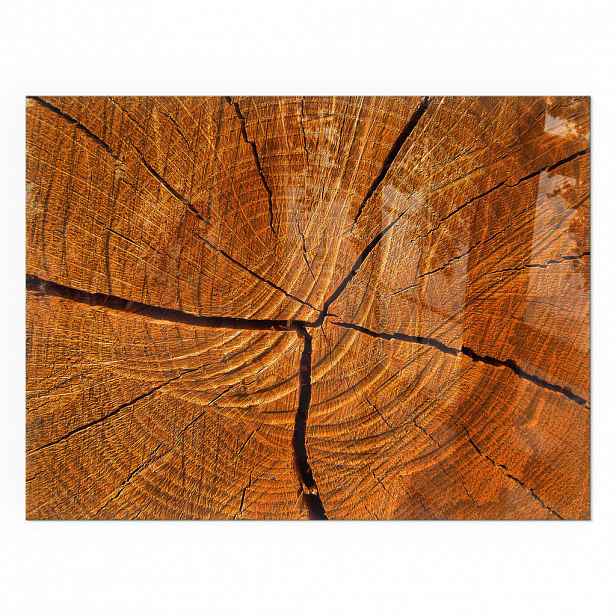 TULUP PODLOŽKA POD KRB 80x60 cm - Kresba dřeva v příčném řezu