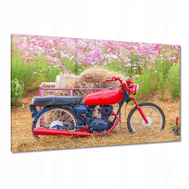 Obrazy 120x80 Červený motocykl Květiny