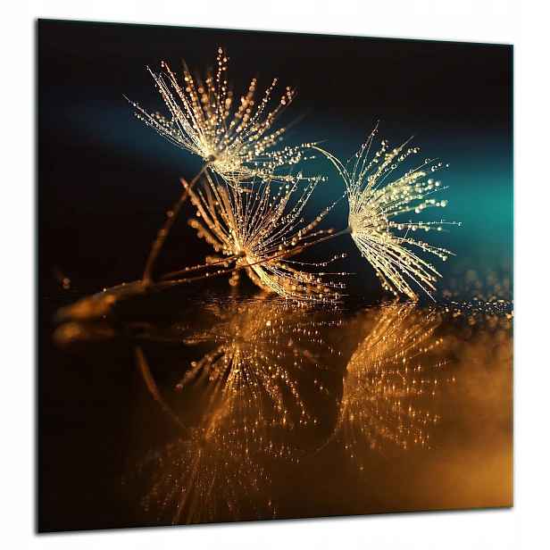 Skleněná Ochranná Deska Panel Lepidlo 60x65 Květina