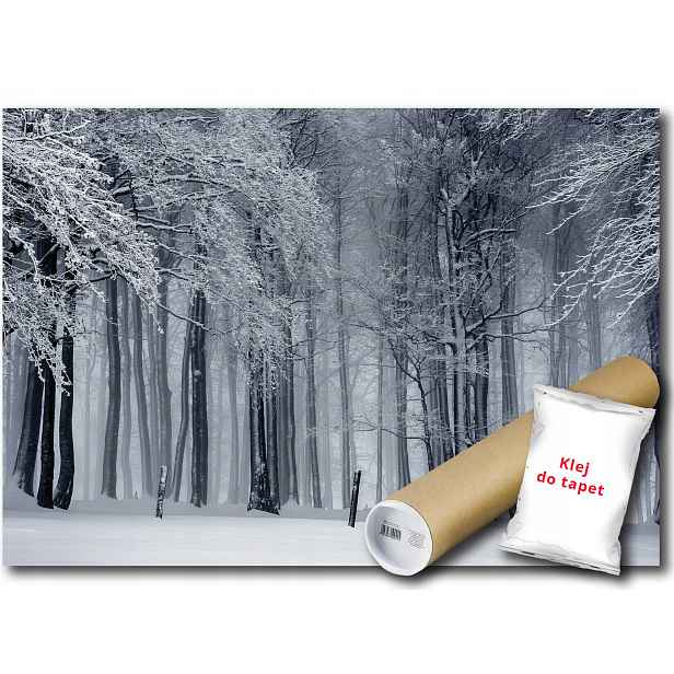 Vinylová Fototapeta Les Zima Sníh Pohled 152x104