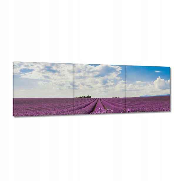 Obrazy 120x40 Pole levandule Levandule