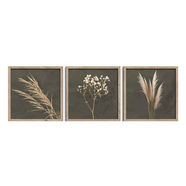 Obrazy v sadě 3 ks 30x30 cm Pampas – Styler