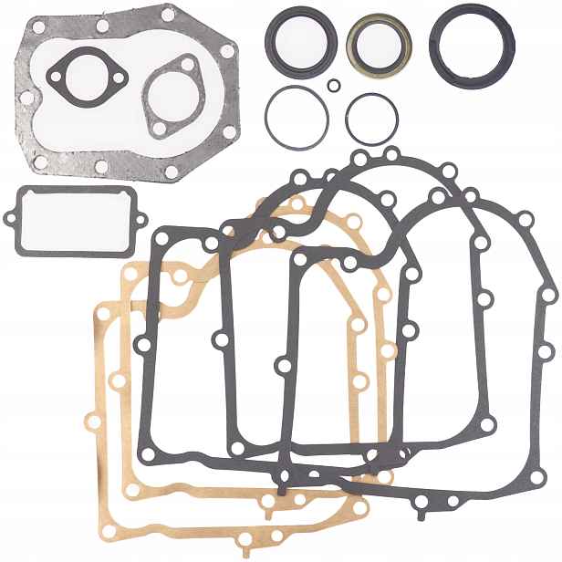 Těsnění Pro Briggs Stratton 10-13KM 490525 494241