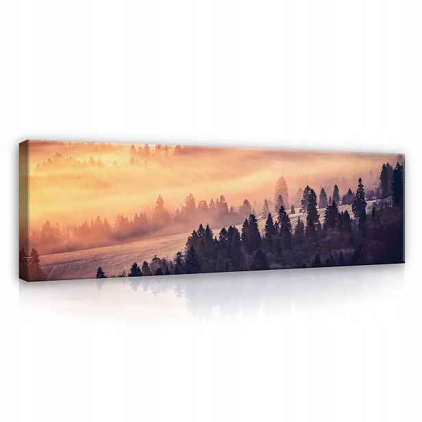Obraz na plátně Les V Mlze stromy Velký 3D 145x45