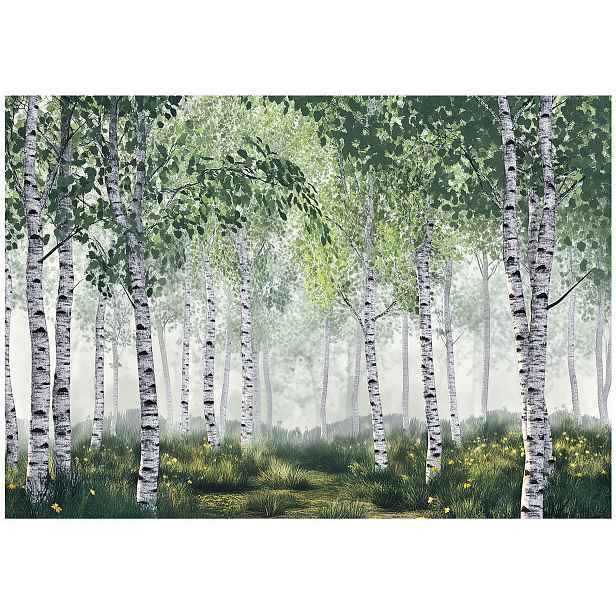 Fototapeta Les Břízy 3D Zelená Tapeta Do Předsíně Obývacího Pokoje Kanceláře 150x105