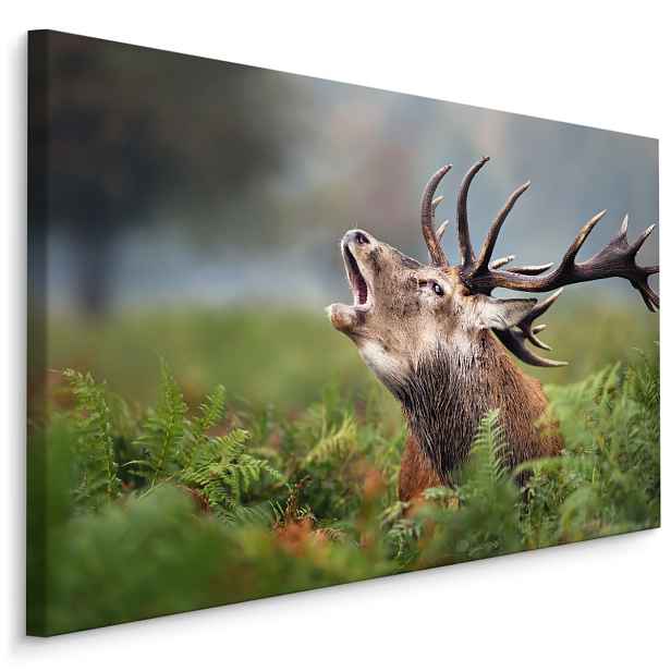 MyBestHome BOX Plátno Jelen V Říji Varianta: 120x80