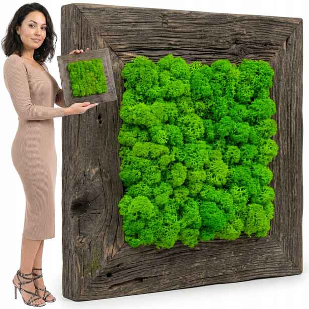 Obraz Z Mechu v dřevěném rámu 25x25 cm mech chrobotek Živý Obraz ručně vyrobený