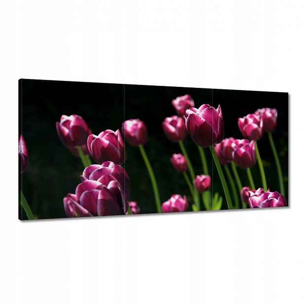 Obrazy 180x90 Fialové tulipány